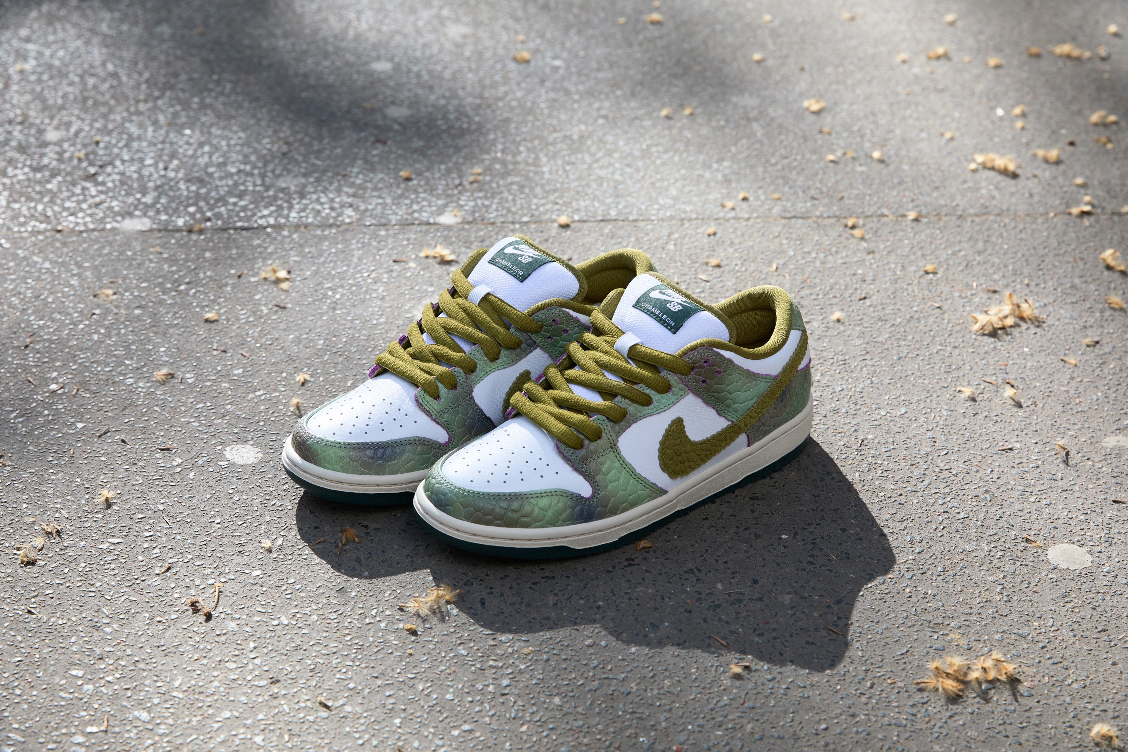 Overhead view of the Nike SB Dunk Low in oil green and desert moss in a street outside.
