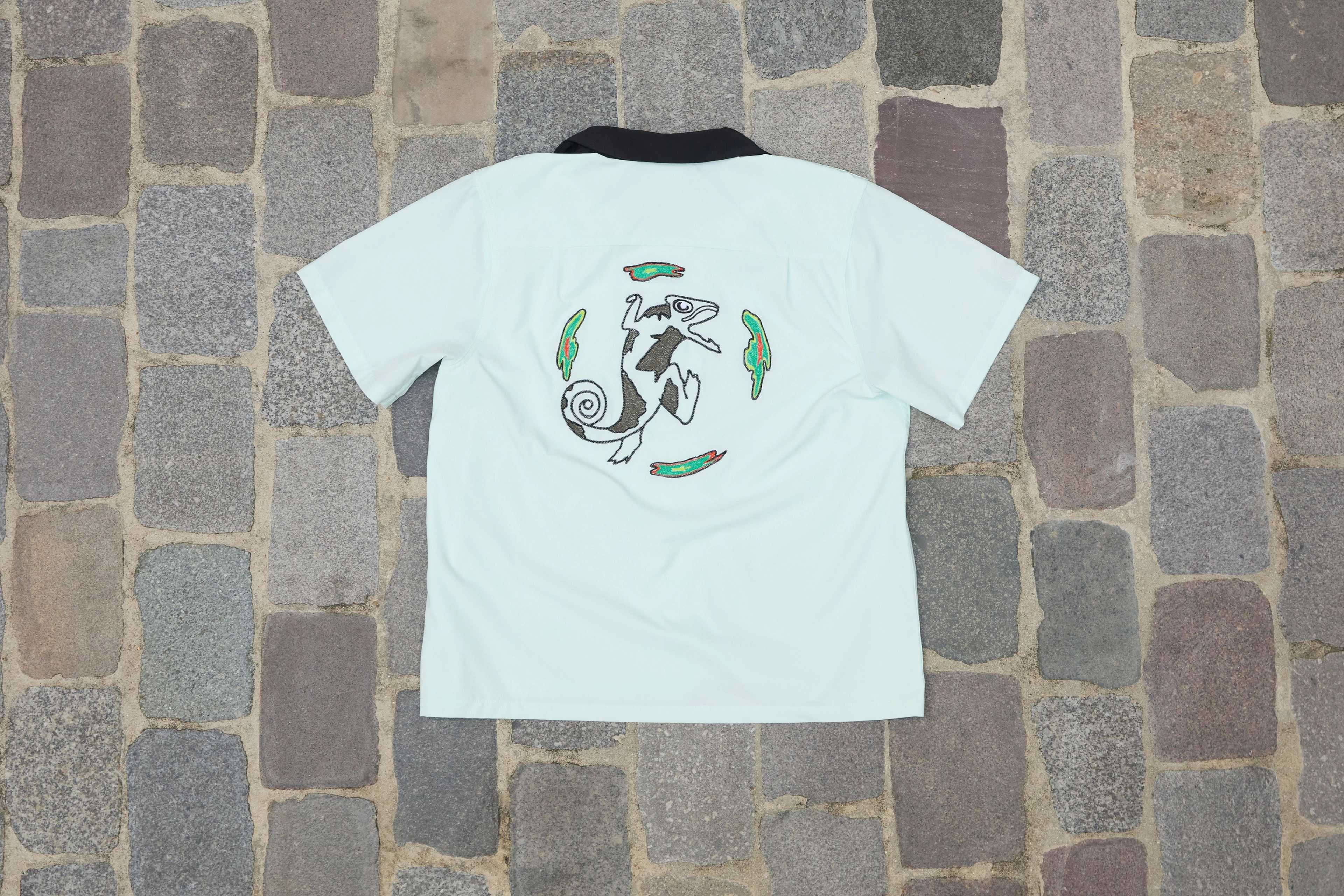 Rear view of the chameleon shirt that's part of the skateboarding federation kits.