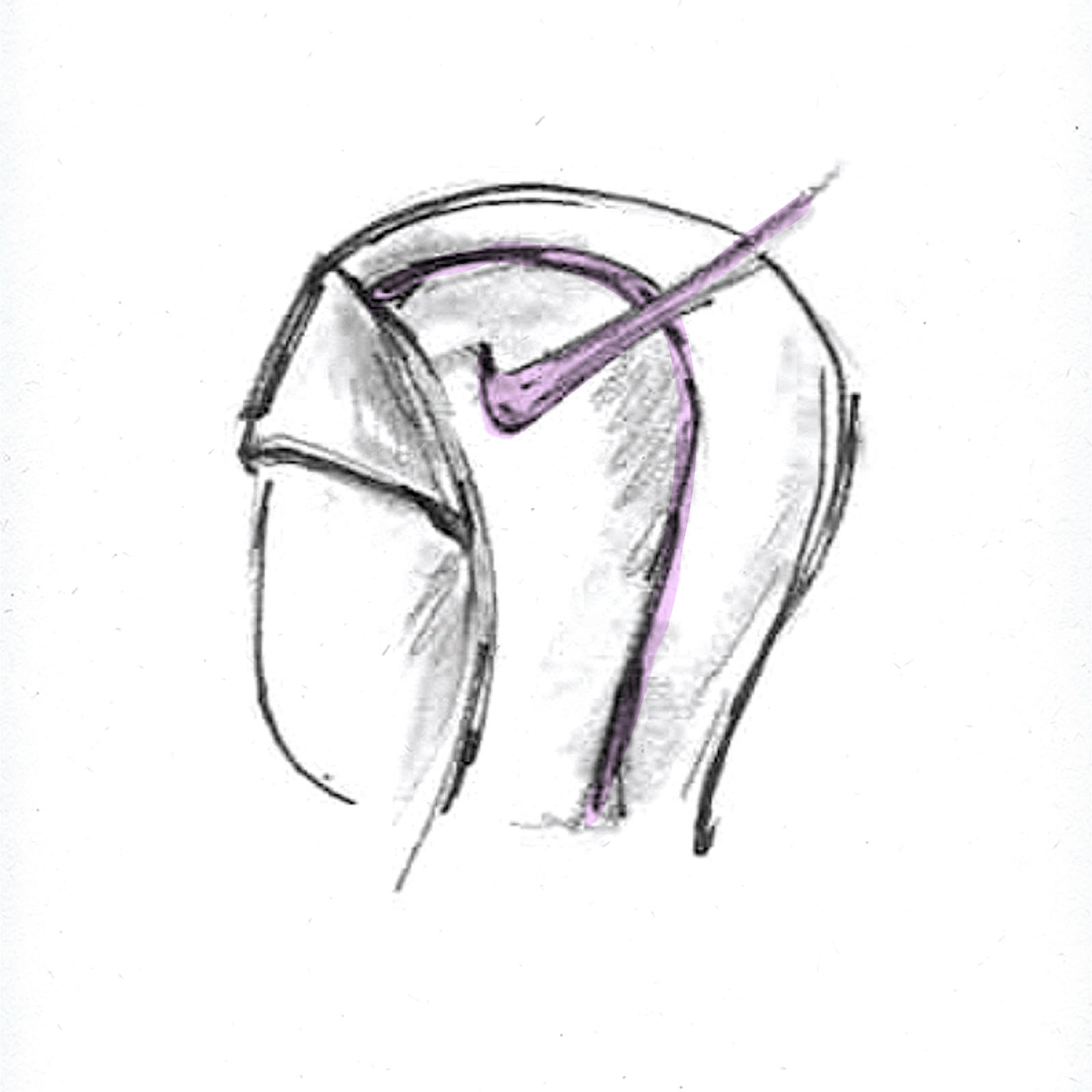 Modest Swim Details Concealed Pouch