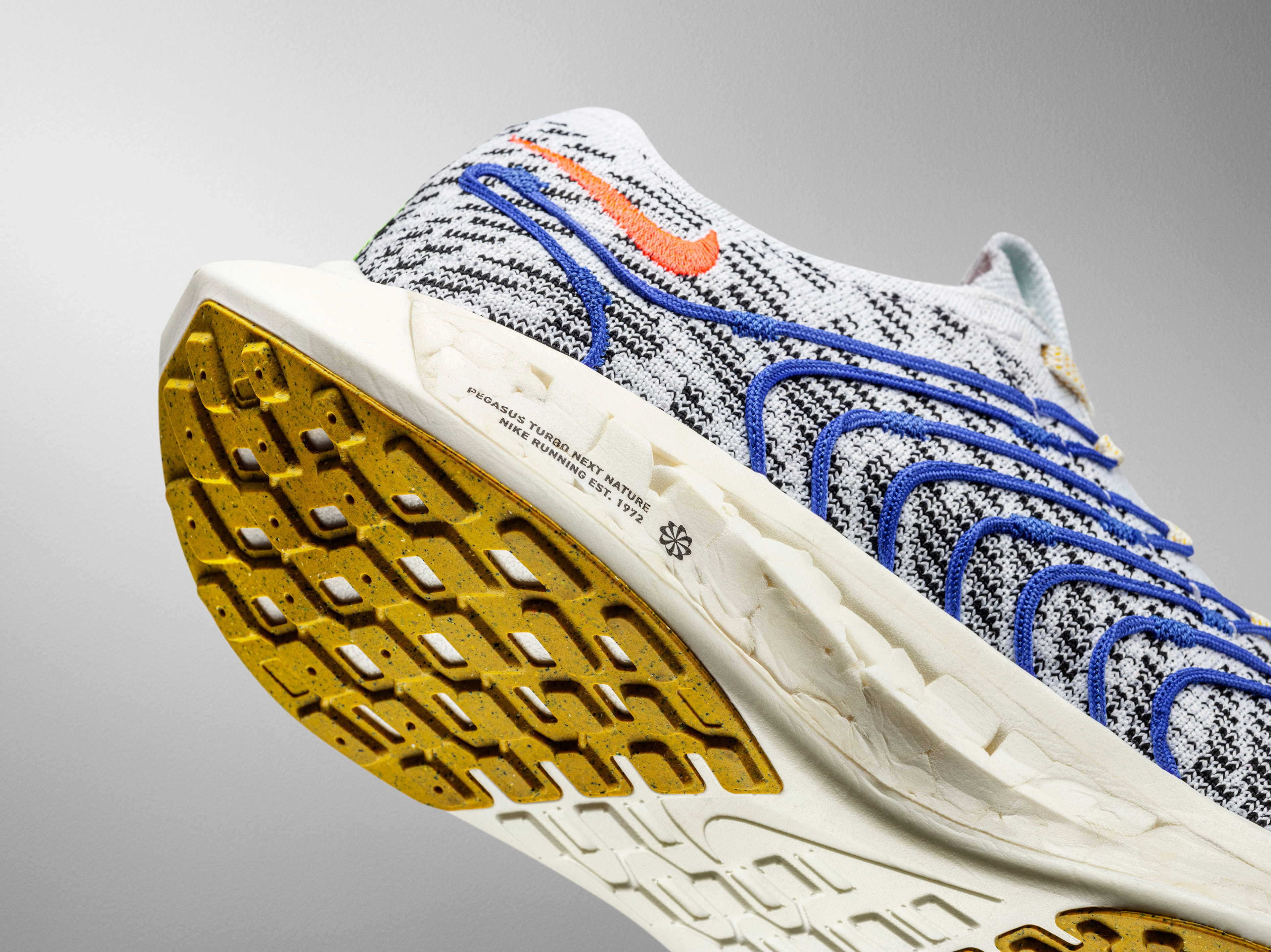 Pegasus Turbo Next Nature Det 03 Re